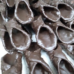 Cialde vuote Cannoli Siciliani Artigianali ricoperti di Cioccolato interno e esterno - Scorze Cannoli Grandi - 11 Pezzi
